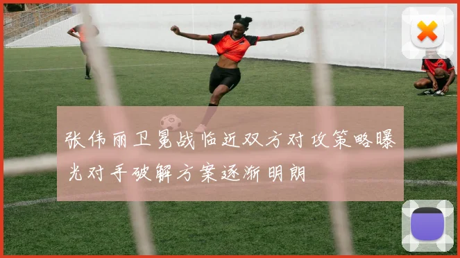 张伟丽卫冕战临近双方对攻策略曝光对手破解方案逐渐明朗