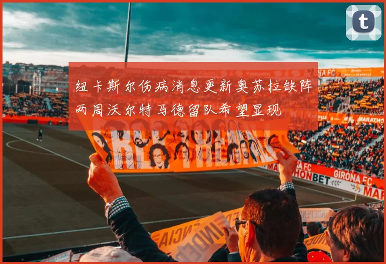 纽卡斯尔伤病消息更新奥苏拉缺阵两周沃尔特马德留队希望显现